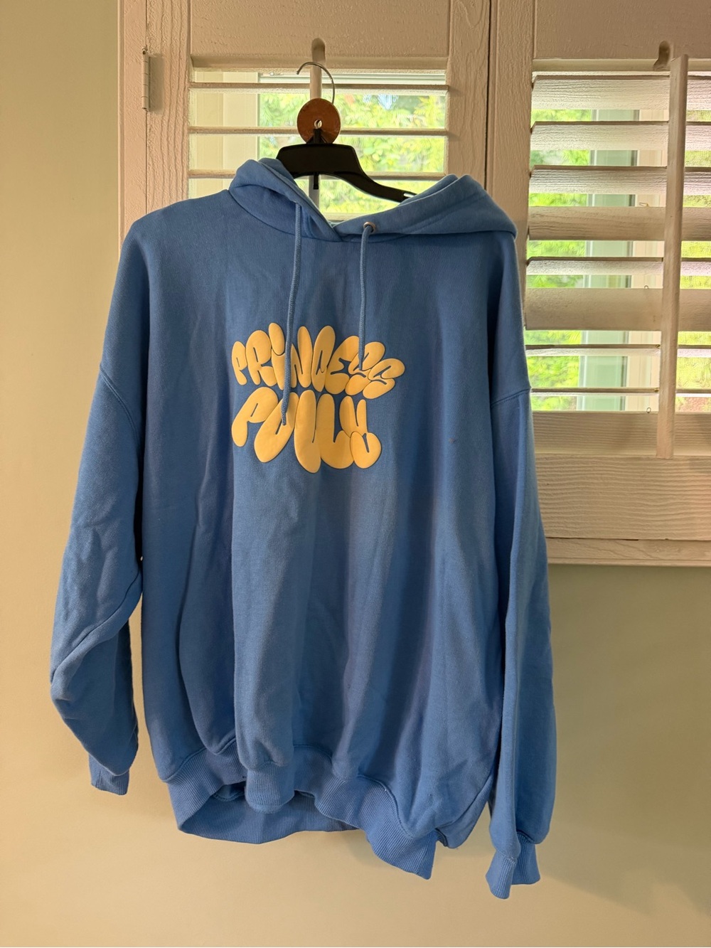 Light Blue Princess Polly Hoodie Sweatshirt